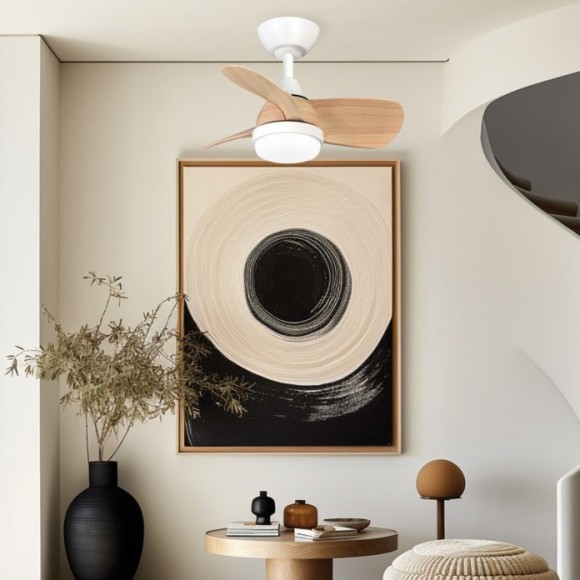 Ventilador Garbí CCT